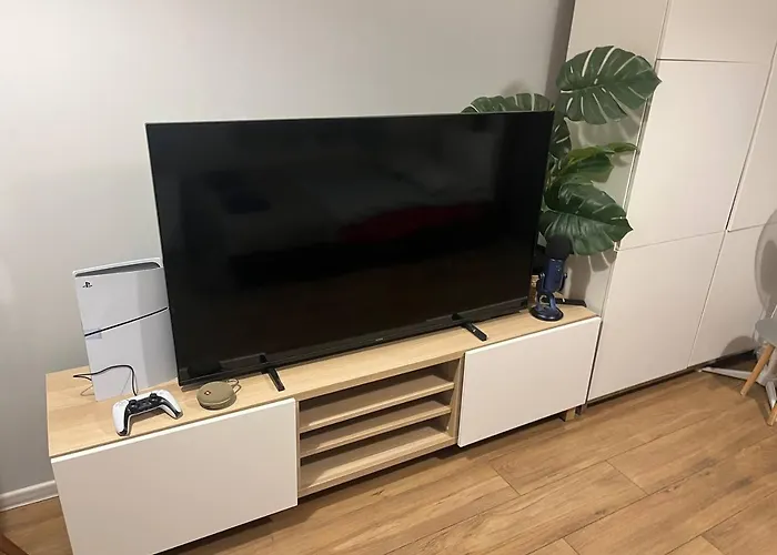 Modern Flat 빌뉴스