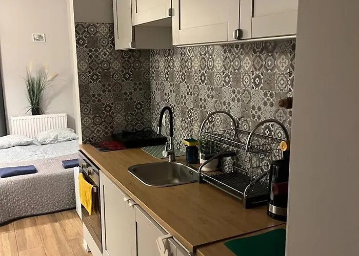 Modern Flat 아파트 빌뉴스